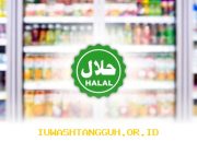 Lebaran Dorong Peningkatan Daya Saing serta Pengembangan Produk Halal Nasional