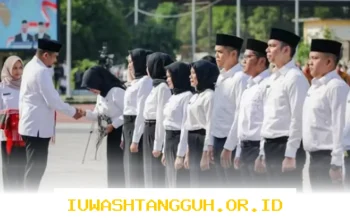 Makna Pergub Sumut 2026 untuk Guru, Tenaga Kesehatan, dan Tenaga Teknis Terkait THR PPPK Paruh Waktu