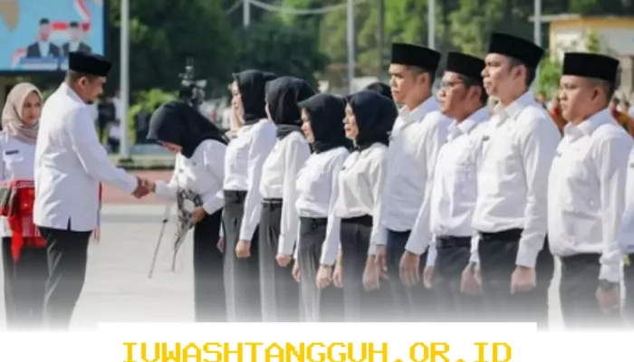 Makna Pergub Sumut 2026 untuk Guru, Tenaga Kesehatan, dan Tenaga Teknis Terkait THR PPPK Paruh Waktu