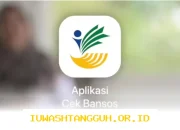 Mandiri dan Gratis Ajukan Penurunan Desil, Ini Cara yang Bisa Dilakukan Tanpa Pungli Bansos