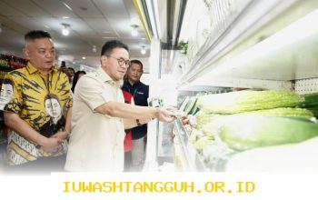 Mendag Jamin Kestabilan Harga Bahan Pokok Jelang Perayaan Lebaran 2024