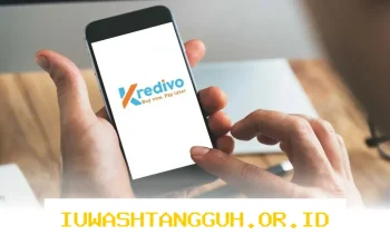 Mengapa Pengajuan PayLater Kredivo Sering Ditolak dan Bagaimana Cara Mengatasinya agar Pinjaman Cepat Disetujui