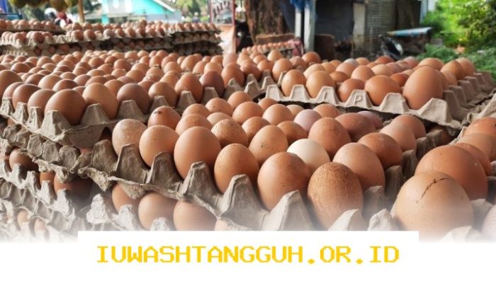 Menjelang Hari Raya, Kenaikan Harga Telur Terjadi di Berbagai Wilayah Indonesia