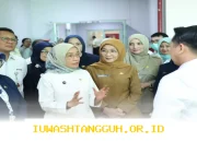 Menpan RB Beri Kejutan Baru untuk 630 Ribu Guru Madrasah, Ini Solusi Manis Nasib Honorer