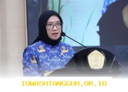 Menteri PAN-RB Ungkap Rencana Ratusan Ribu PNS Pensiun pada 2026, Membuka Peluang Lebih Besar Bagi Lulusan Baru Menembus Seleksi CPNS
