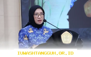 Menteri PAN-RB Ungkap Rencana Ratusan Ribu PNS Pensiun pada 2026, Membuka Peluang Lebih Besar Bagi Lulusan Baru Menembus Seleksi CPNS