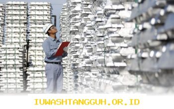 MIND ID Menilai Bedah Data Sangat Diperlukan untuk Mendorong Kebijakan Strategis yang Rasional