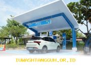 Mudik Lancar dengan Mobil Listrik, Ini Cara Cek dan Daftar Antrean SPKLU melalui Aplikasi PLN Mobile