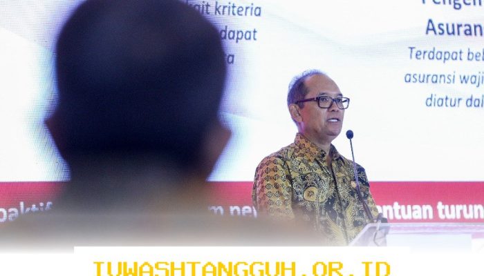 OJK Terapkan Uji Coba New RBC pada Perusahaan Asuransi dan Reasuransi dengan Modal Lebih dari Rp5 Triliun