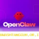 OpenClaw Nvidia Hadir sebagai Solusi AI Terbuka yang Ramah Pengguna dan Kompatibel dengan Komputer Pribadi Anda