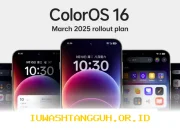 Oppo Resmikan Rencana Pembaruan ColorOS 16 dengan Android 16 yang Akan Dirilis pada Maret 2026 Mendatang