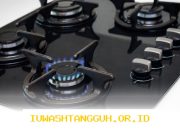 Pakar Energi Sebut Kompor dan Mobil Listrik Sebagai Upaya Kuatkan Ketahanan Energi Nasional