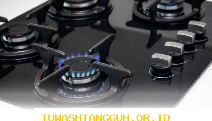 Pakar Energi Sebut Kompor dan Mobil Listrik Sebagai Upaya Kuatkan Ketahanan Energi Nasional