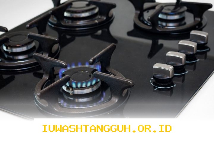 Pakar Energi Sebut Kompor dan Mobil Listrik Sebagai Upaya Kuatkan Ketahanan Energi Nasional