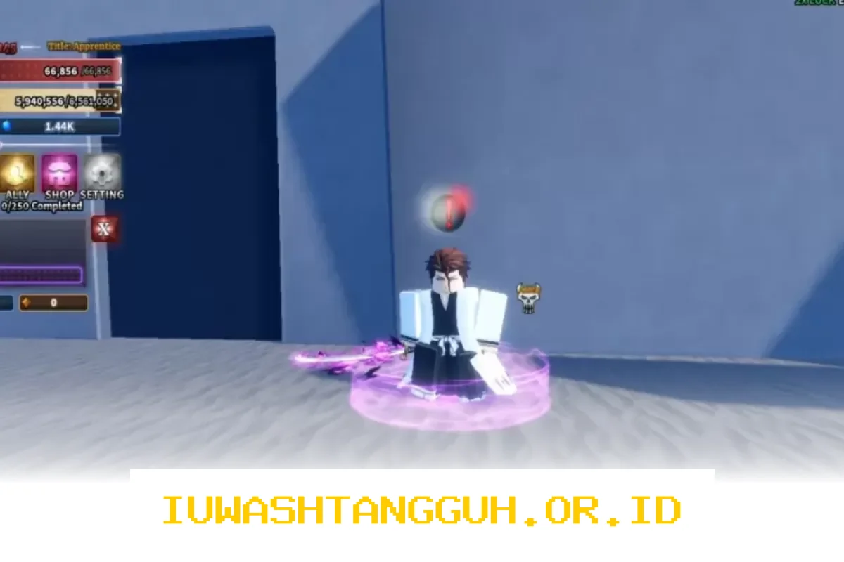 Panduan Lengkap Memperoleh Pedang Aizen Asli dalam Sailor Piece
