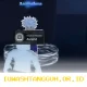 Panduan Lengkap Menaikkan Rank Sailor Piece dan Cara Unlock Semua Level Permainan