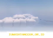 Panduan Lengkap Menjelajahi Fisch Above the Clouds dan Jenis Ikan yang Dapat Ditangkap di Sana