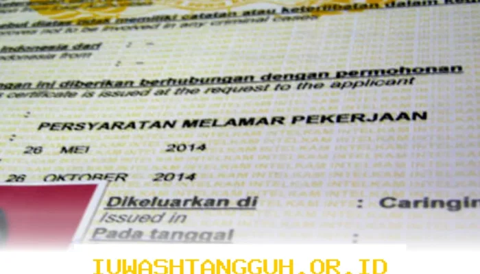 Panduan Lengkap Pendaftaran CPNS: Tahapan, Persyaratan, dan Biaya Pembuatan SKCK Secara Offline maupun Online