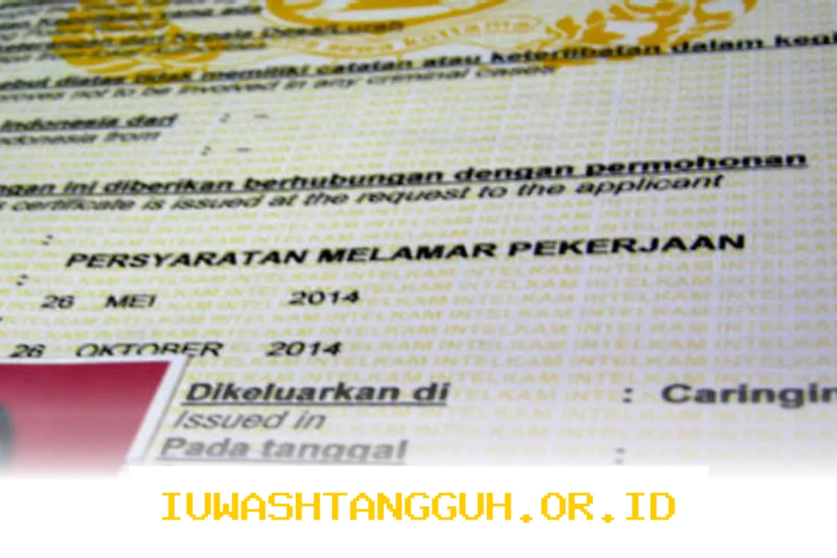 Panduan Lengkap Pendaftaran CPNS: Tahapan, Persyaratan, dan Biaya Pembuatan SKCK Secara Offline maupun Online
