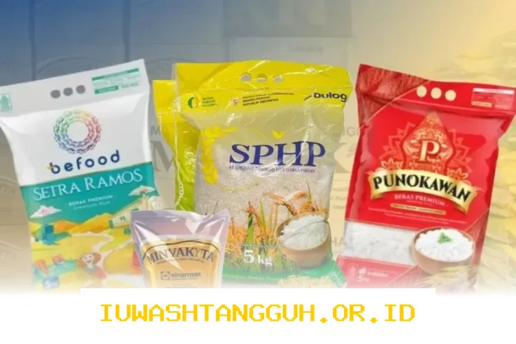 Panduan Mengecek Keaktifan KPM Bansos 2026 untuk Mendapatkan Tambahan Bantuan Beras dan Minyak Goreng