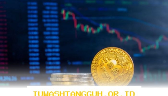 Panduan Praktis Investasi Kripto bagi Pemula yang Ingin Hindari Risiko Besar