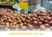 Pasokan Telur Ayam di Bangka Belitung Diperbanyak 42,6 Ton Menjelang Hari Raya Idulfitri