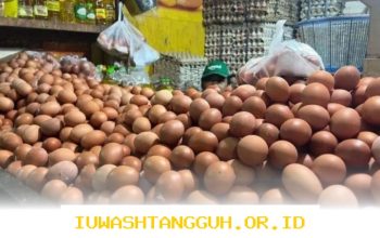 Pasokan Telur Ayam di Bangka Belitung Diperbanyak 42,6 Ton Menjelang Hari Raya Idulfitri