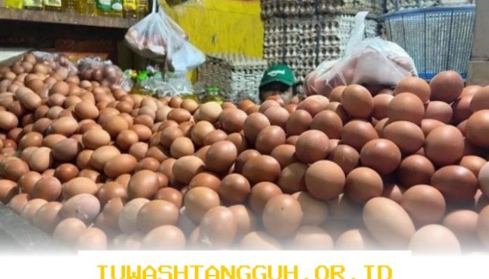 Pasokan Telur Ayam di Bangka Belitung Diperbanyak 42,6 Ton Menjelang Hari Raya Idulfitri