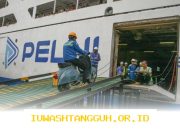 Pelni Resmikan 9 Kesempatan Karir Baru, Simak Persyaratan dan Tata Cara Pendaftaran Resmi Perusahaan
