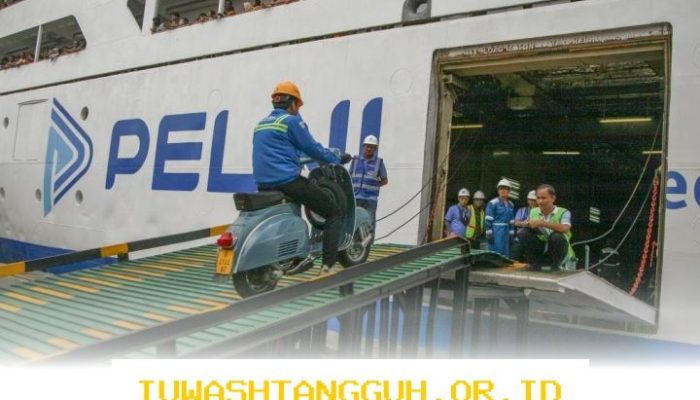 Pelni Resmikan 9 Kesempatan Karir Baru, Simak Persyaratan dan Tata Cara Pendaftaran Resmi Perusahaan