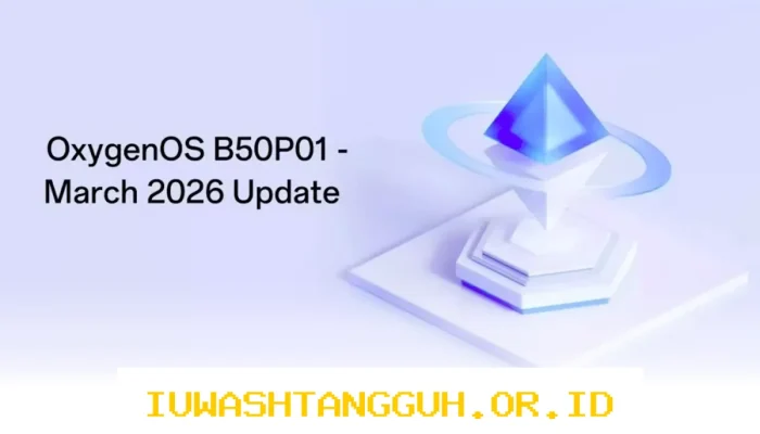 Pembaruan OxygenOS B50P01 Resmi Dirilis, Simak Fitur Terbaru dan Daftar Perangkat OnePlus yang Mendukungnya