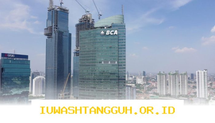 Pemegang Saham BCA Borong Saham BBCA untuk Investasi Jangka Panjang yang Menguntungkan