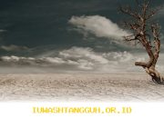 Pemerintah Antisipasi Gangguan Produksi Padi akibat Fenomena El Nino yang Diprediksi Ekstrem