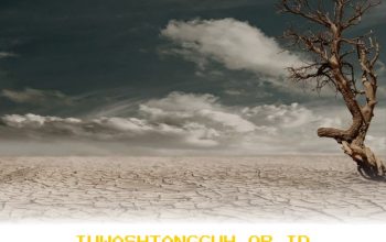 Pemerintah Antisipasi Gangguan Produksi Padi akibat Fenomena El Nino yang Diprediksi Ekstrem