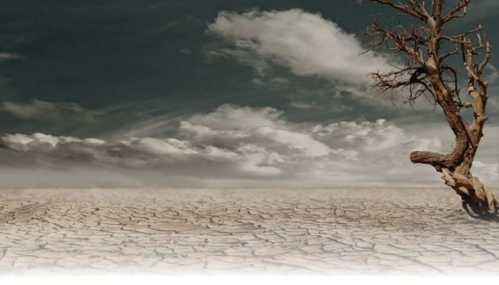 Pemerintah Antisipasi Gangguan Produksi Padi akibat Fenomena El Nino yang Diprediksi Ekstrem