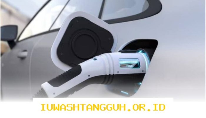 Pemerintah Dorong Penggunaan Kendaraan Listrik untuk Antisipasi Volatilitas Harga Energi Global