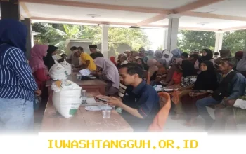 Pemerintah Salurkan Bansos Beras 20 Kg dan Minyak Goreng 4 Liter Mulai Maret, Simak Jadwal serta Syarat Penerimanya