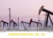 Pemerintah Sediakan Sepuluh Wilayah Prospek Migas untuk Investasi Energi Nasional