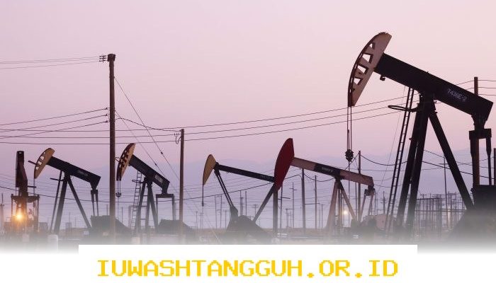 Pemerintah Sediakan Sepuluh Wilayah Prospek Migas untuk Investasi Energi Nasional