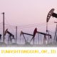 Pemerintah Sediakan Sepuluh Wilayah Prospek Migas untuk Investasi Energi Nasional