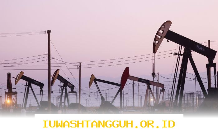 Pemerintah Sediakan Sepuluh Wilayah Prospek Migas untuk Investasi Energi Nasional