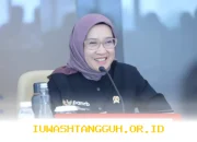 Pemerintah Siap Buka CPNS 2026 Usai 160 Ribu PNS Pensiun Tahun Depan
