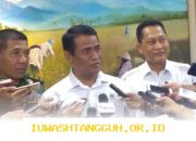Pemerintah Siapkan Langkah Strategis Menghadapi Ancaman El Nino demi Stabilitas Ketahanan Pangan Nasional