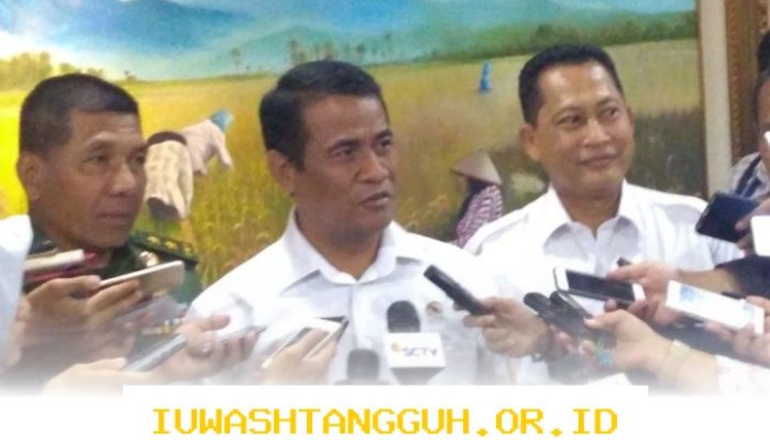 Pemerintah Siapkan Langkah Strategis Menghadapi Ancaman El Nino demi Stabilitas Ketahanan Pangan Nasional