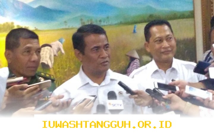 Pemerintah Siapkan Langkah Strategis Menghadapi Ancaman El Nino demi Stabilitas Ketahanan Pangan Nasional