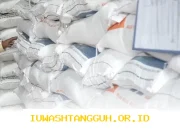 Penerima Bansos Harus Waspada, Empat Hal Ini Bisa Sebabkan Bantuan Beras Dicabut atau Dialihkan ke Orang Lain