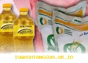 Penerima Bansos PKH-BPNT Siap Dapat Beras 20 Kg dan Minyak Goreng 2 Liter, Cek Nama Anda di Daftar Penerima