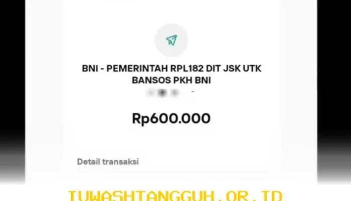 Penerima Bansos Rp600 Ribu yang Masih Punya KKS BNI Wajib Periksa Saldo Rekening Meski Statusnya Exclude