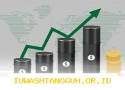 Penguatan Dolar AS dan Volatilitas Harga Minyak Dipicu Ketegangan Perang Antar Iran dan Pasukan Pro-AS di Timur Tengah