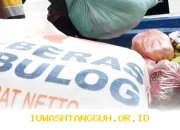 Penyaluran Bansos Pangan di Jawa dan Sumatera Telah Dimulai, Ini Prediksi di 8 Wilayah
